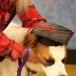 photograph by PeterW